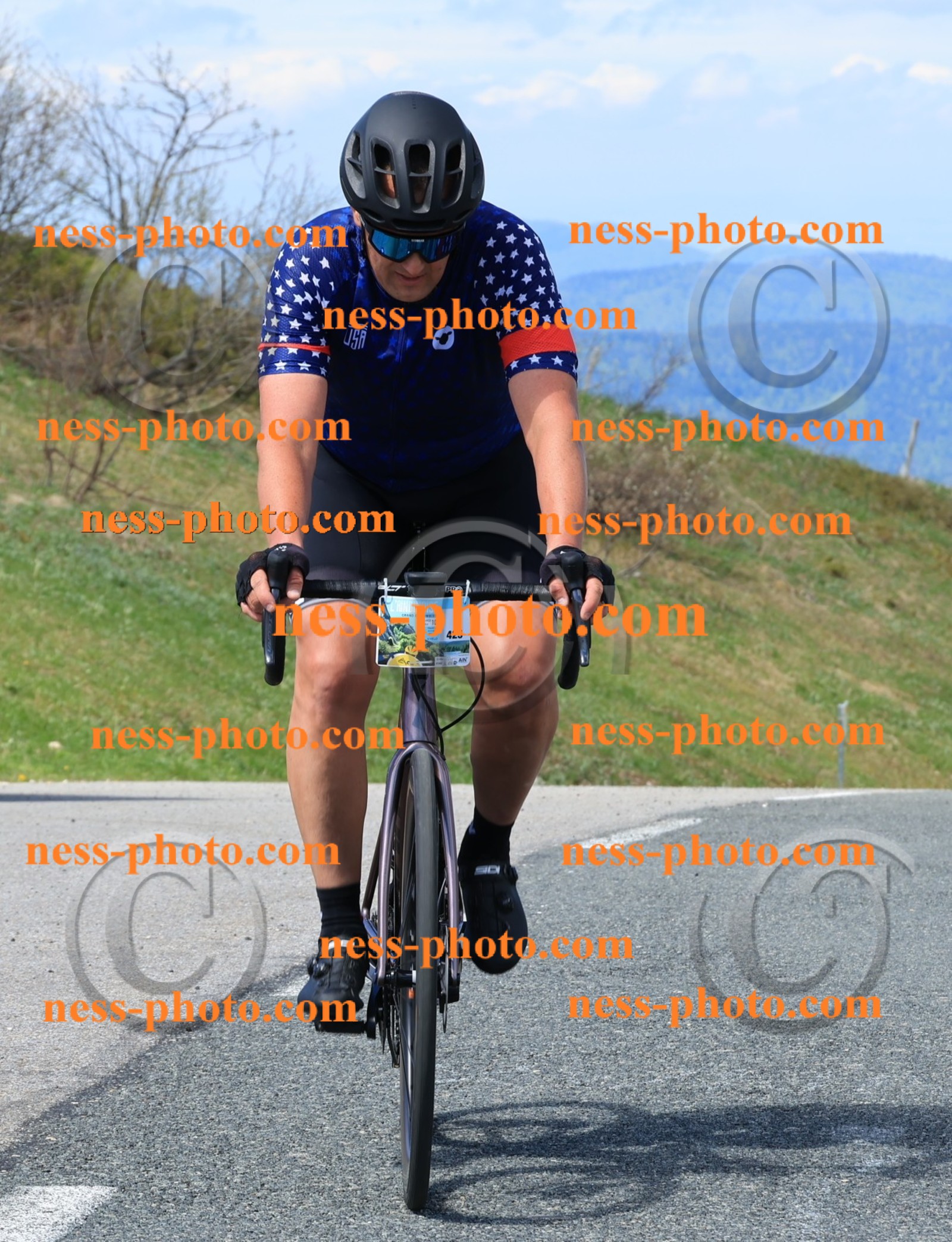 Col du Grand Colombier (1381).JPG