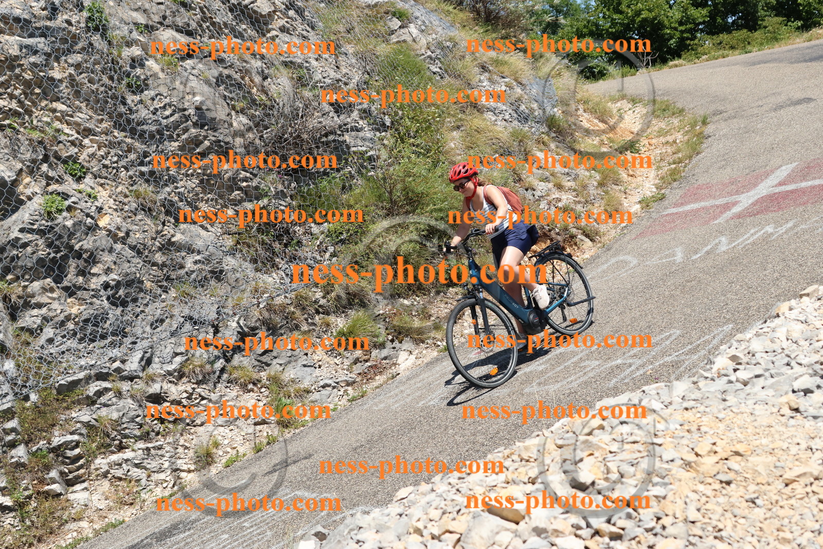 Col du Grand Colombier (610).JPG