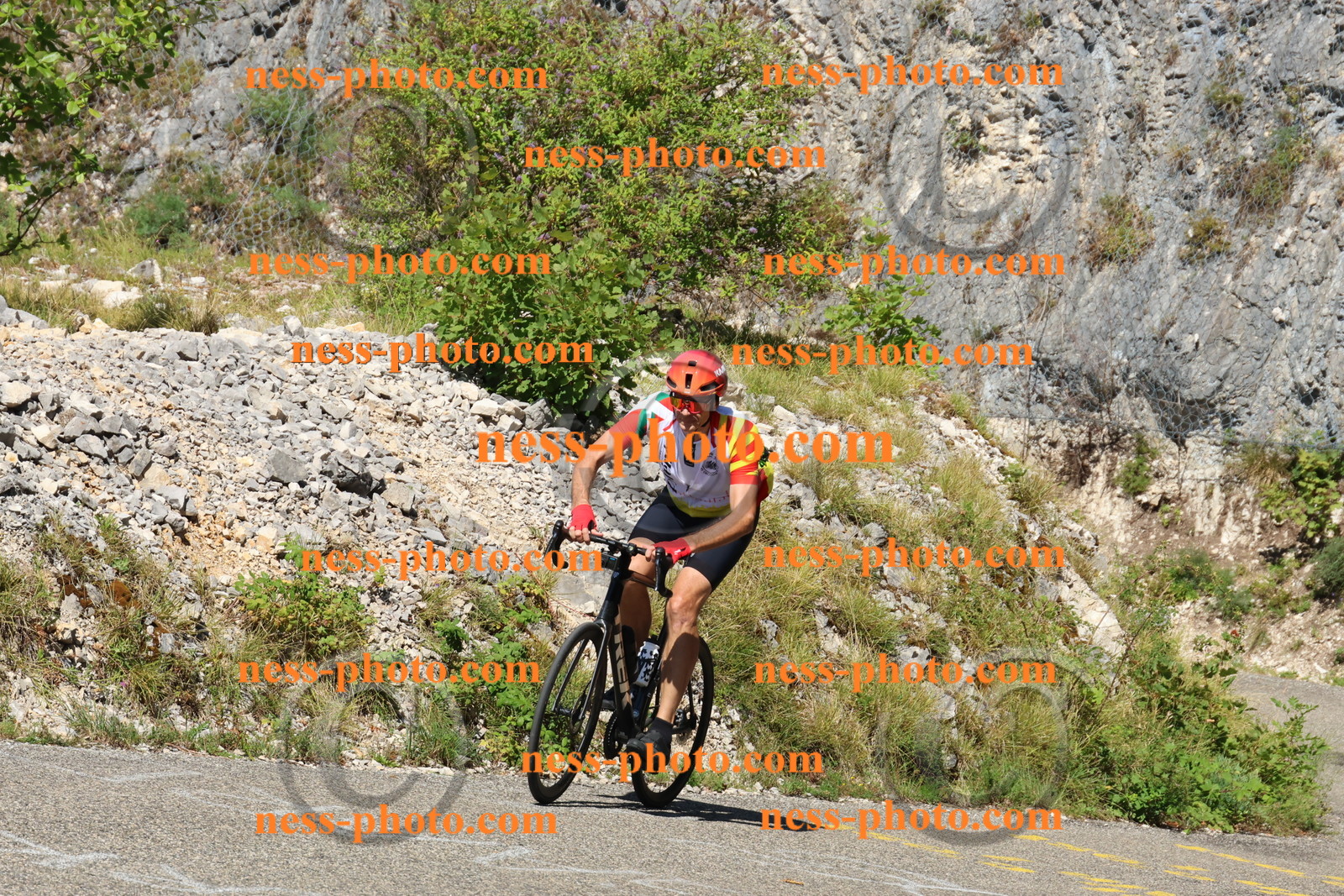 Col du Grand Colombier (217).JPG