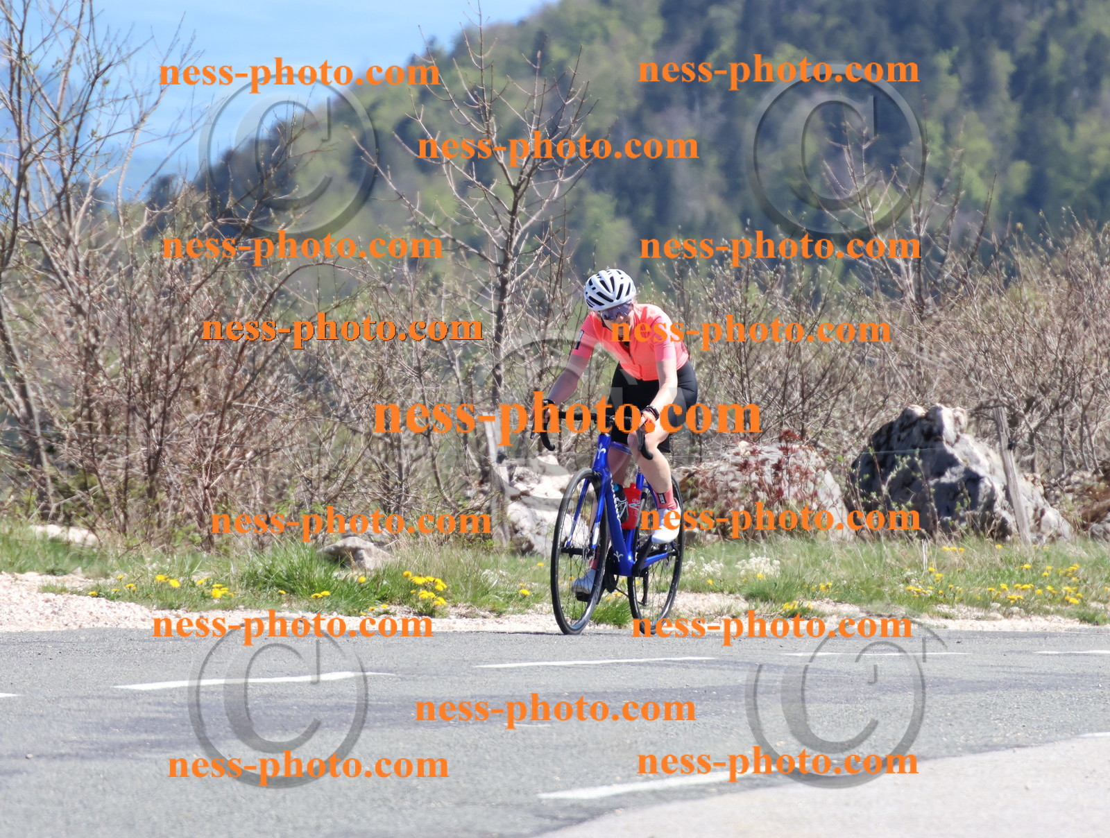 Col du Grand Colombier (940).JPG