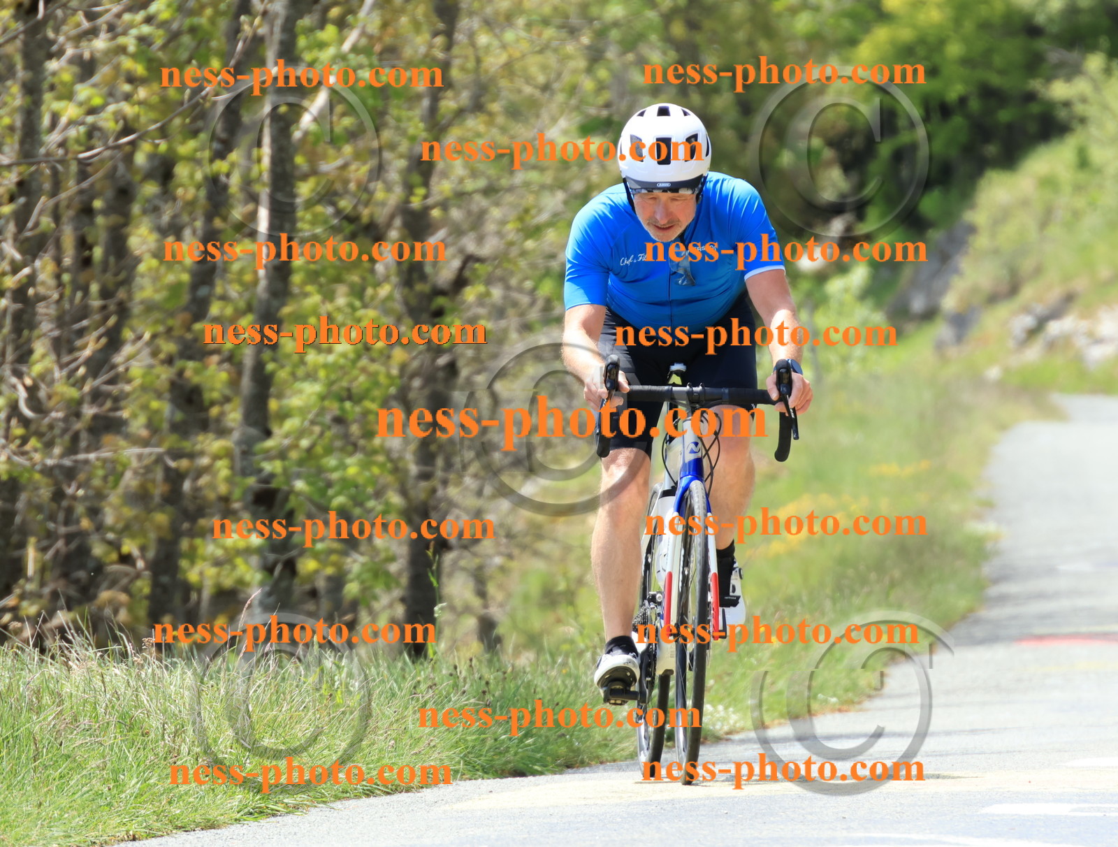 Col du Grand Colombier (190).JPG