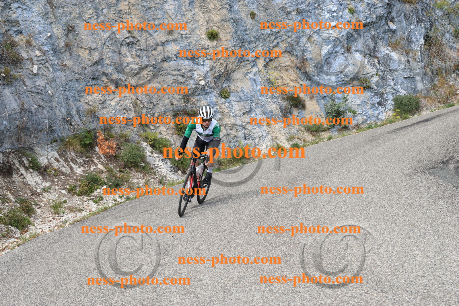 Col du Grand Colombier (724).JPG