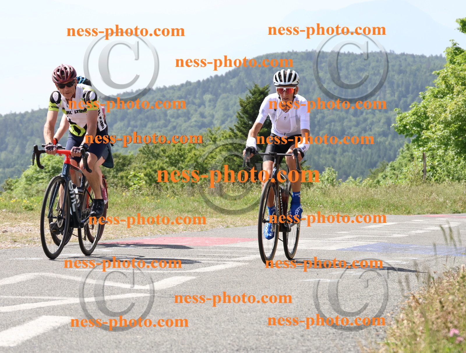 Col du grand Colombier (1303).JPG