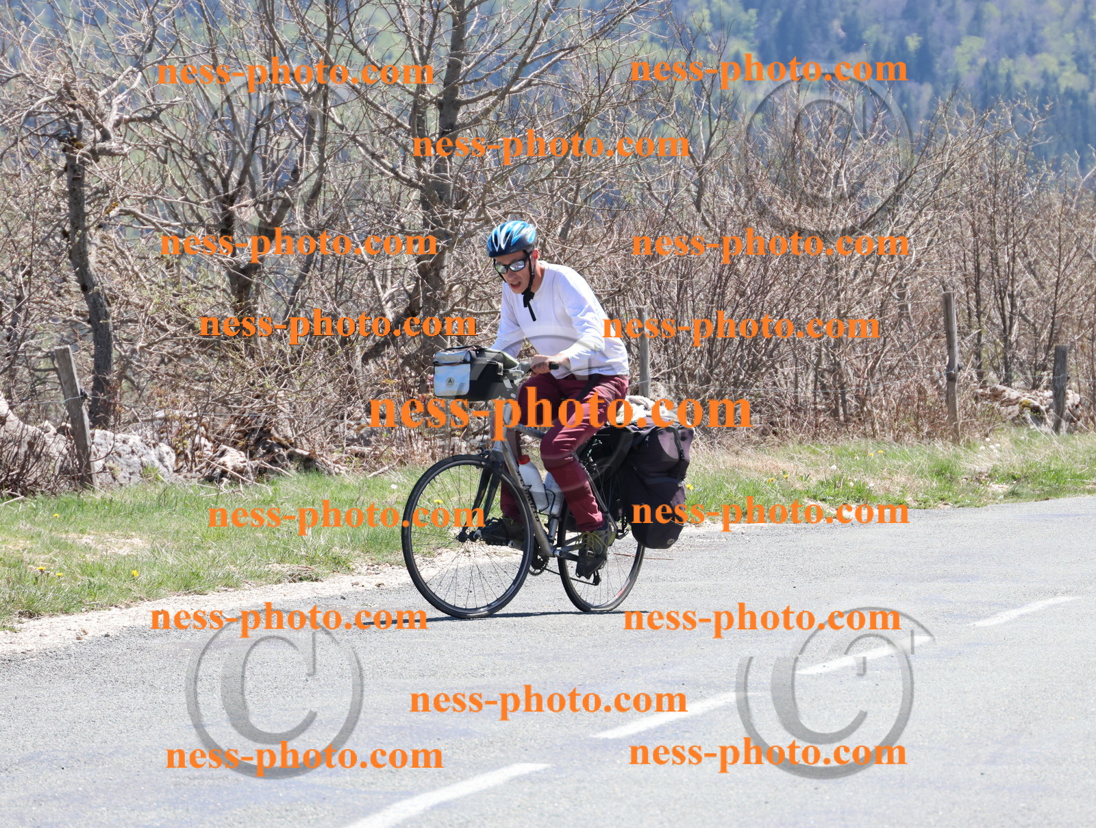 Col du Grand Colombier (852).JPG