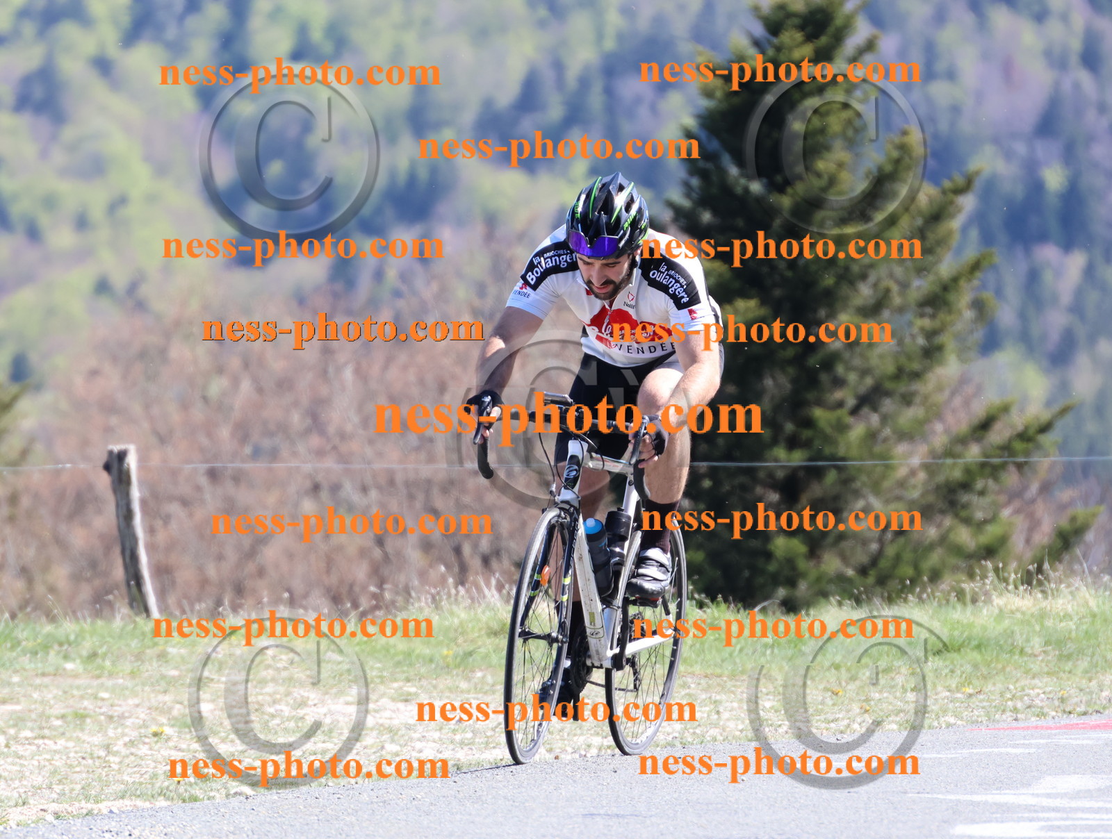 Col du Grand Colombier (1049).JPG