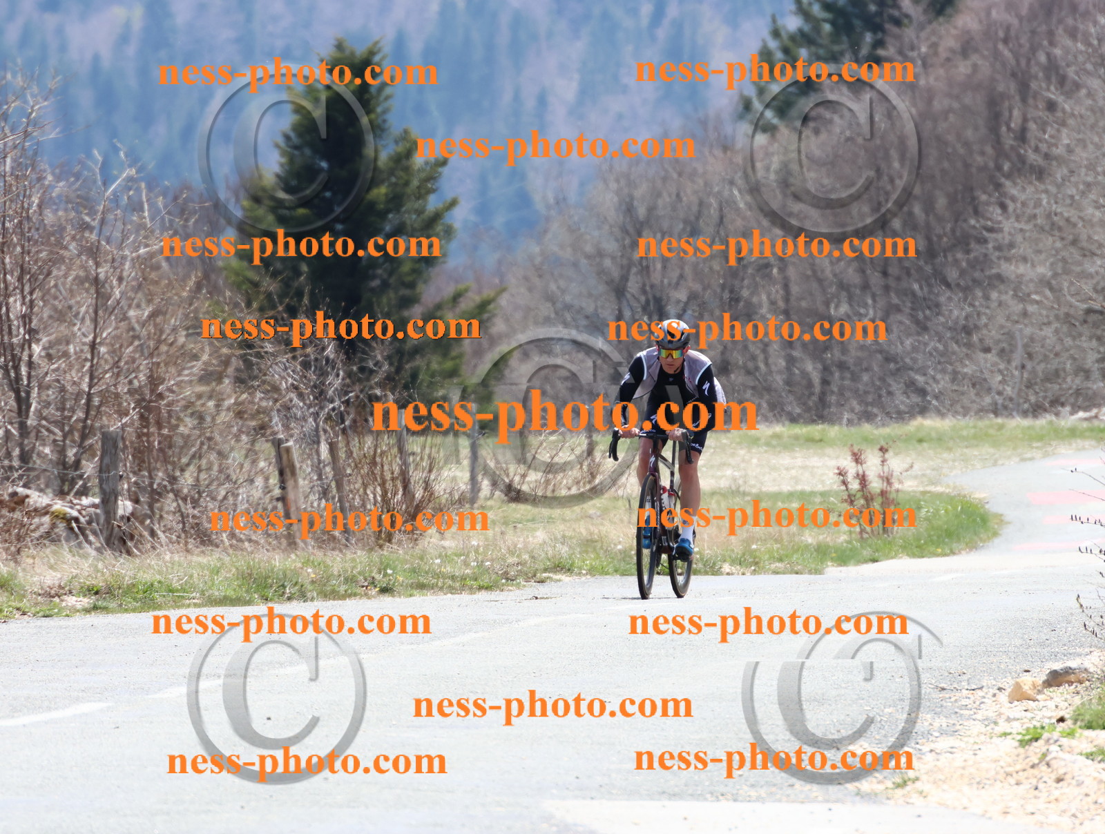 Col du Grand Colombier (342).JPG