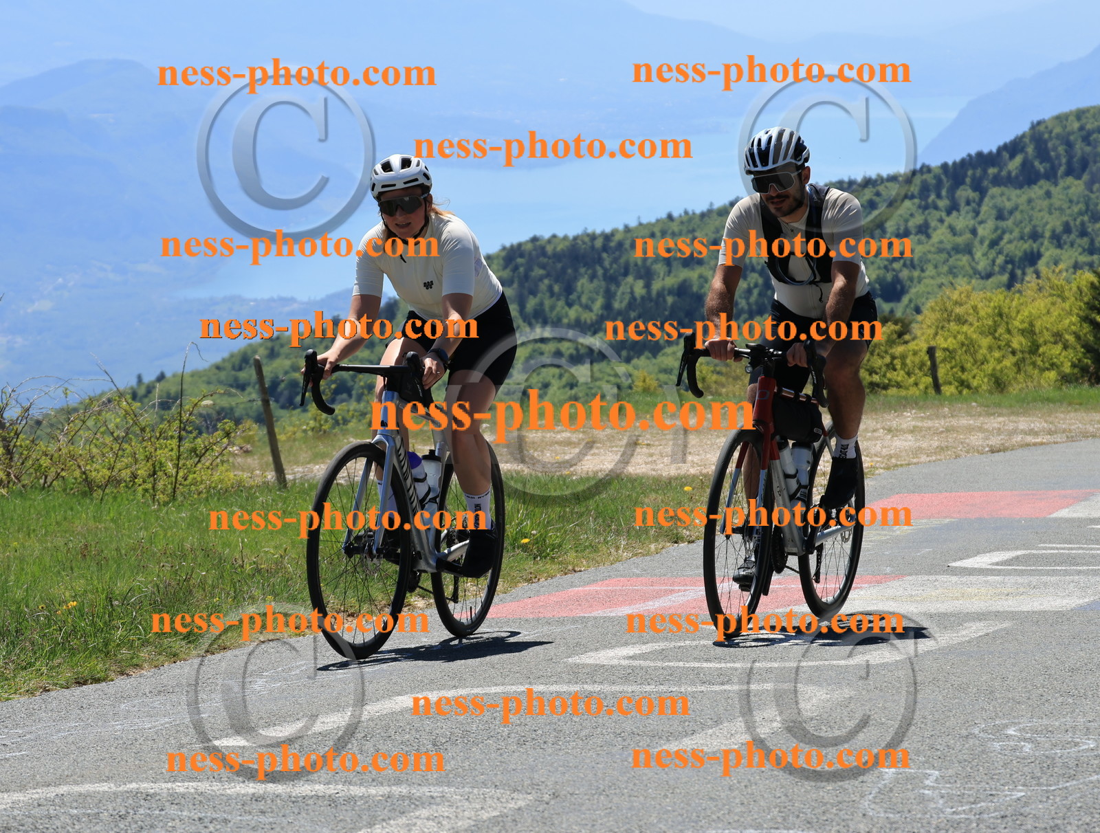 Col du Grand Colombier (239).JPG