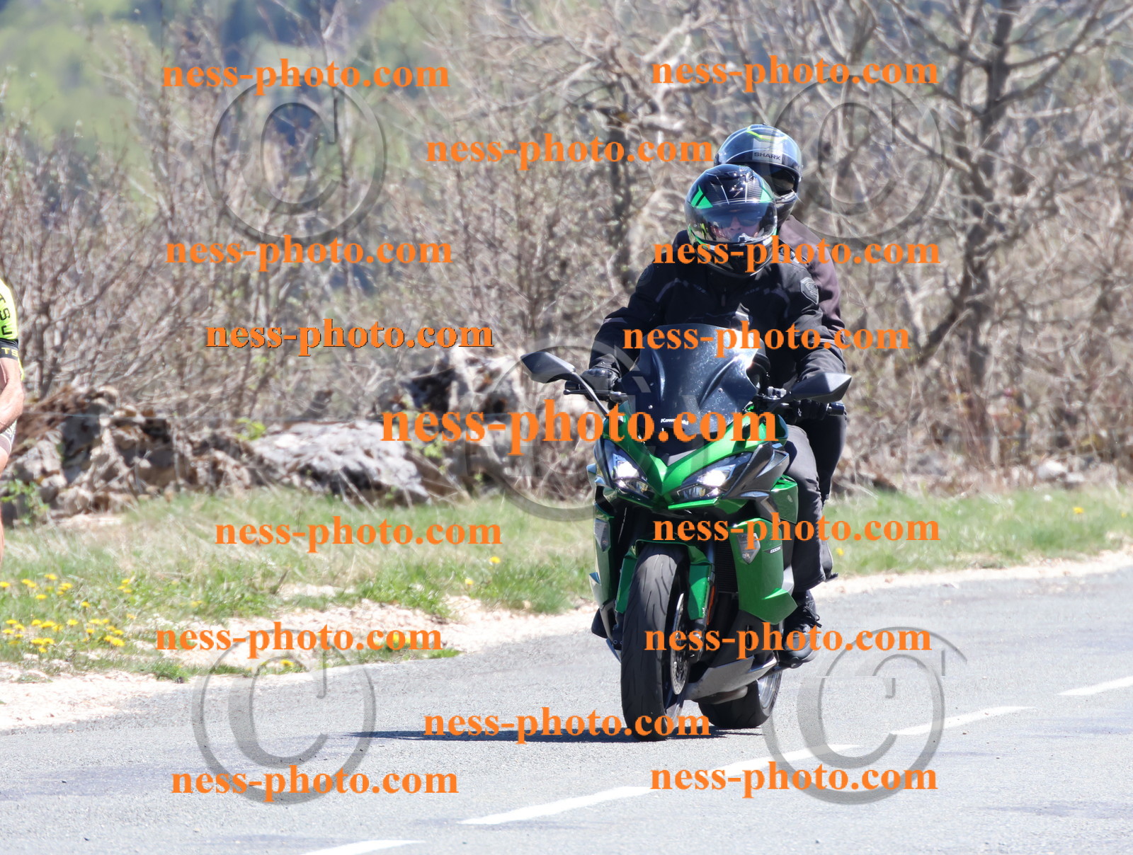 Col du Grand Colombier (237).JPG