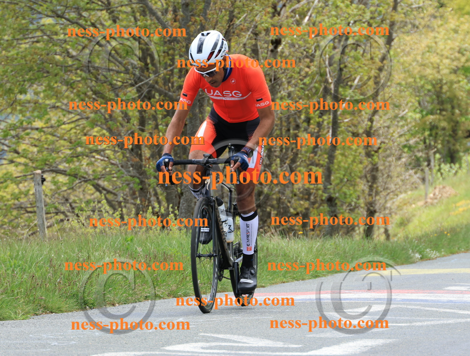 Col du Grand Colombier (497).JPG