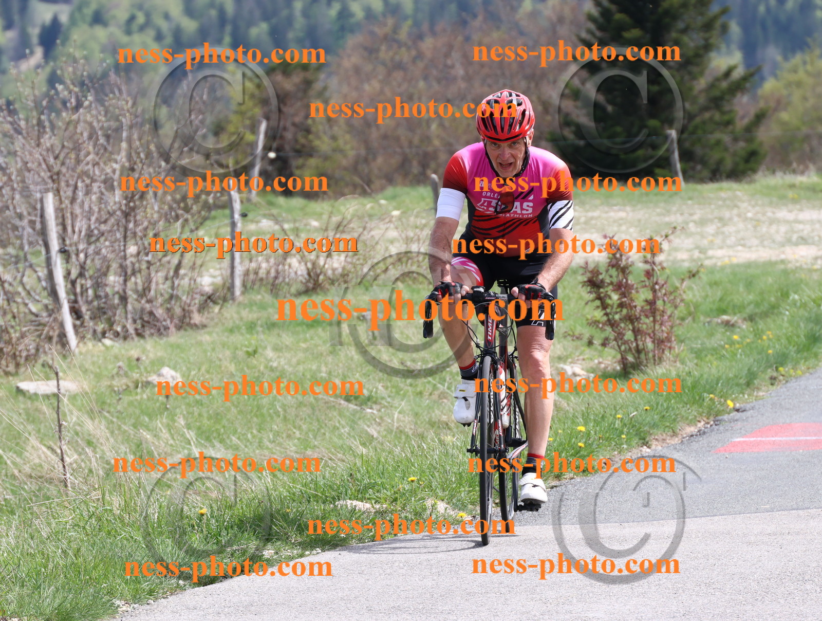 Col du Grand Colombier (1021).JPG