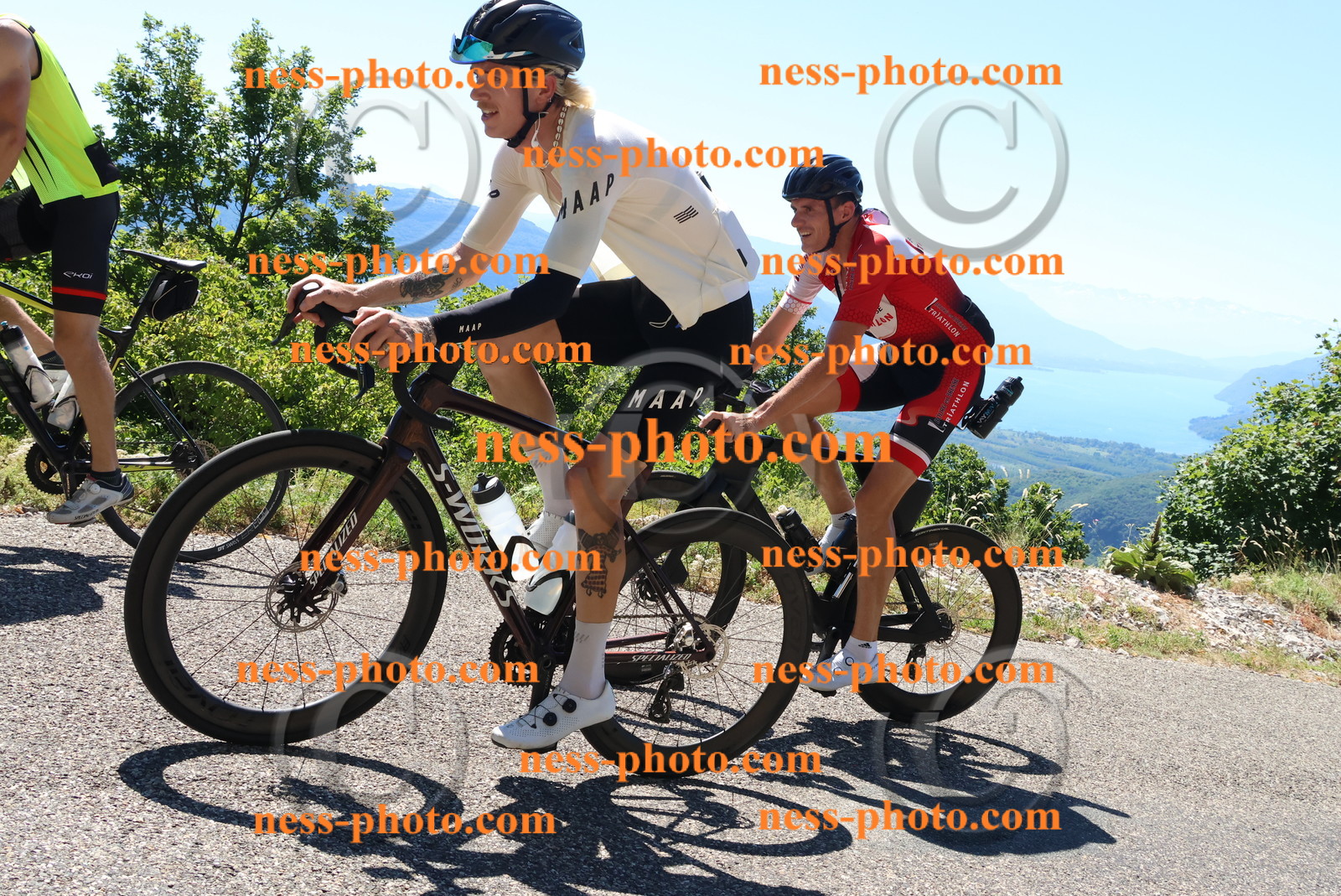 Col du Grand Colombier (464).JPG