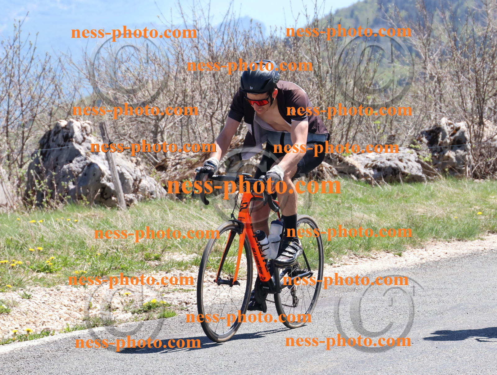 Col du Grand Colombier (804).JPG