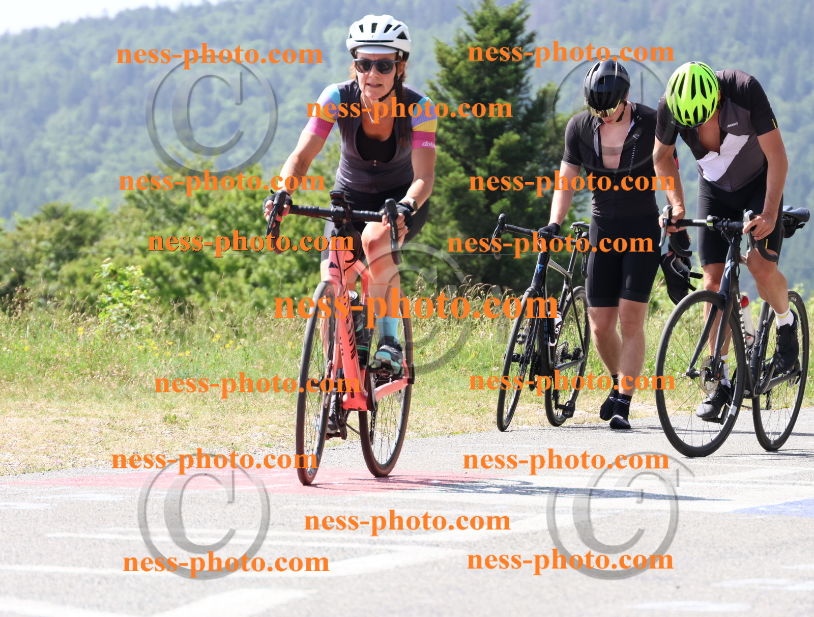 Col du grand Colombier (1183).JPG