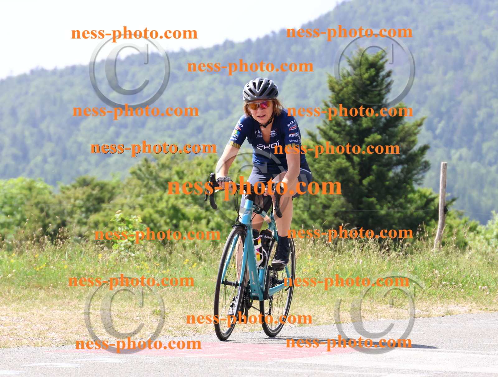 Col du grand Colombier (1280).JPG