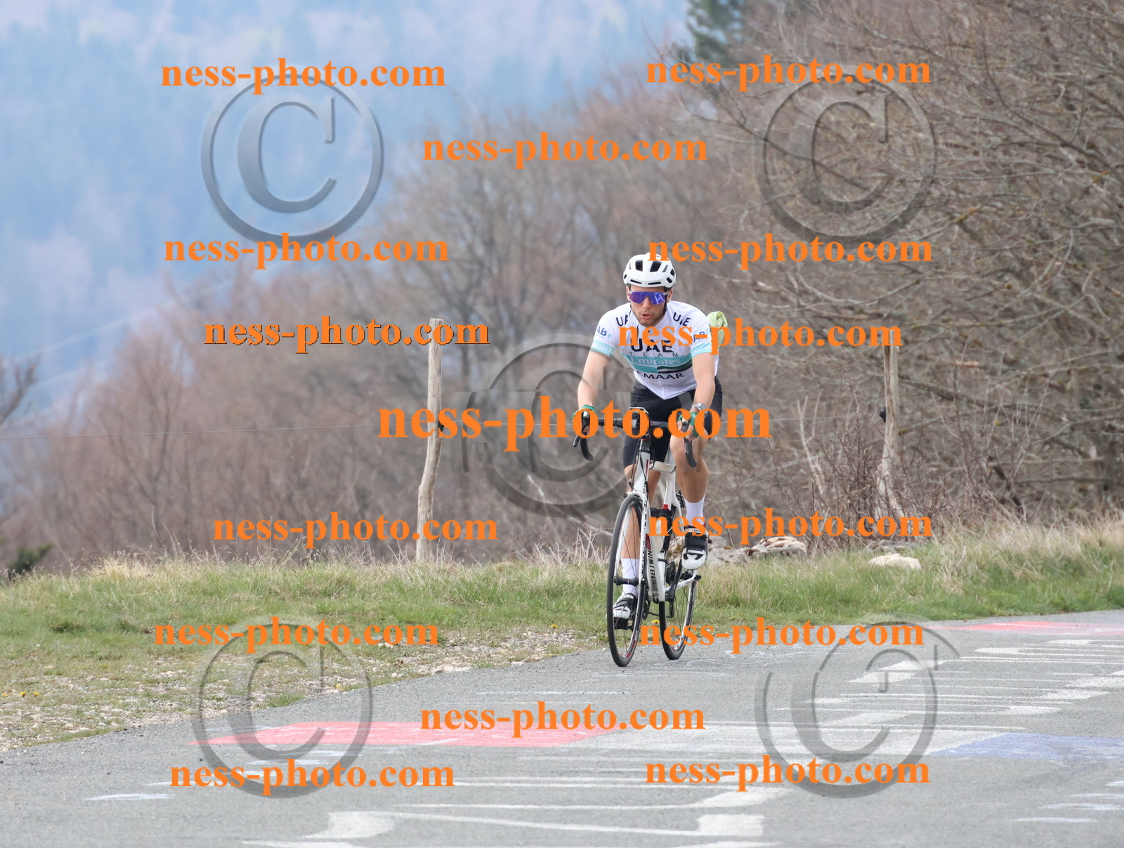 Col du Grand Colombier (140).JPG