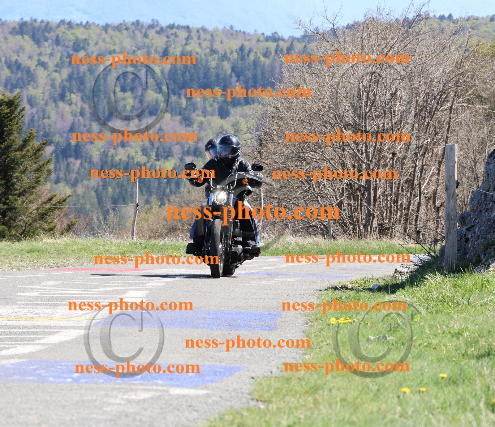 Col du Grand Colombier (362).JPG