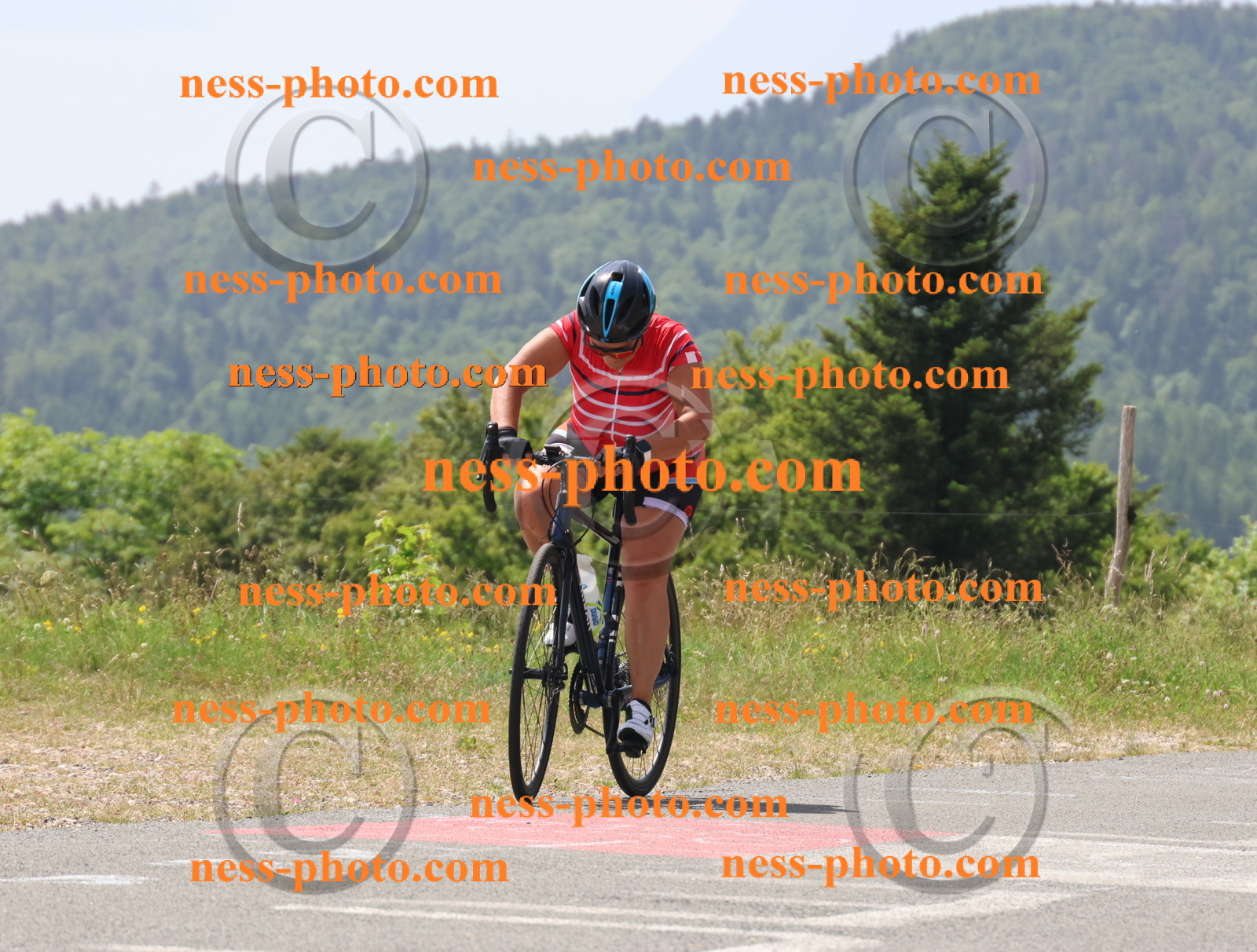 Col du grand Colombier (2158).JPG