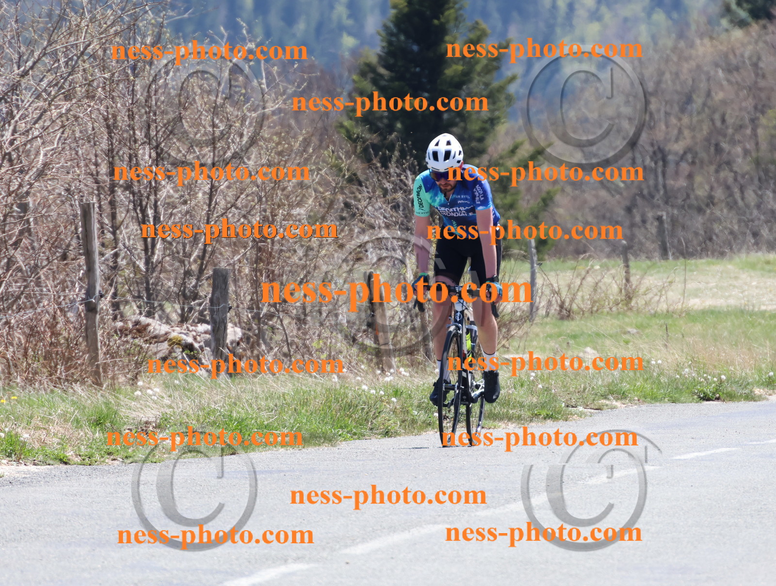Col du Grand Colombier (823).JPG