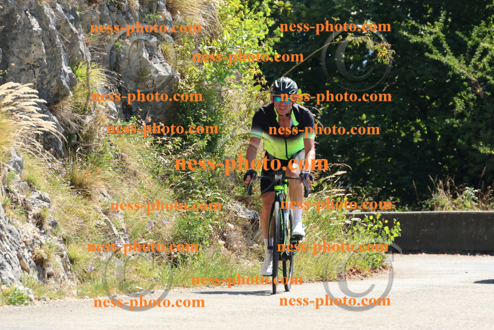 Col du Grand Colombier (289).JPG