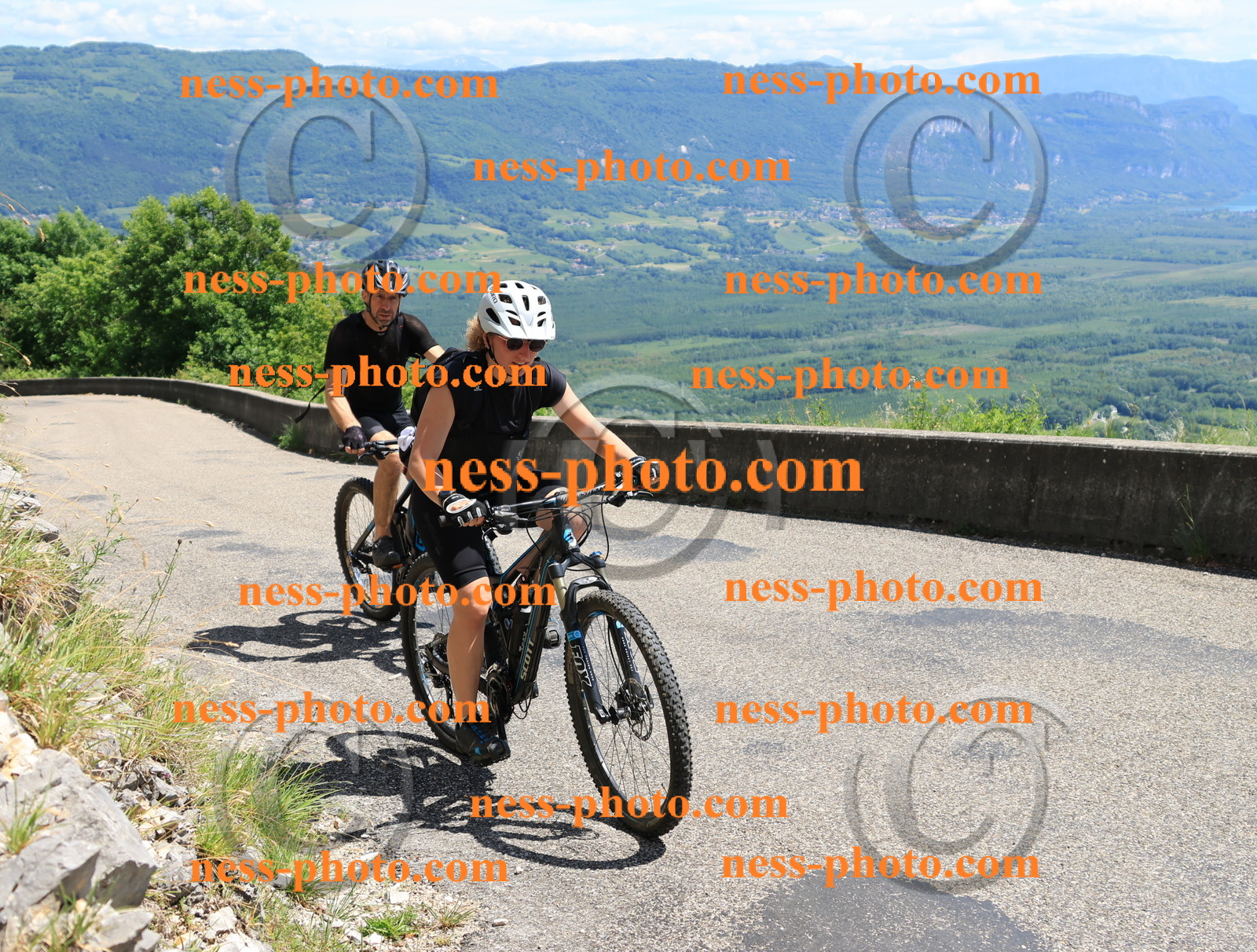 Col du Grand Colombier (651).JPG