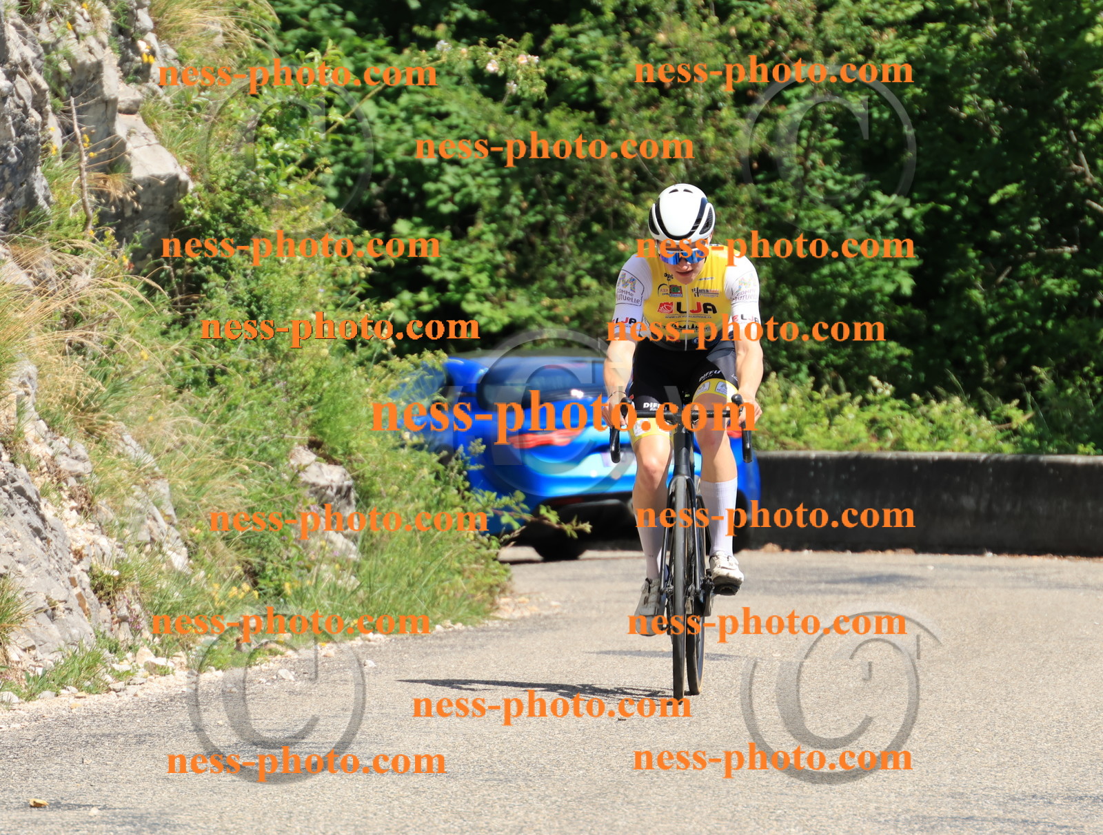 Col du Grand Colombier (706).JPG