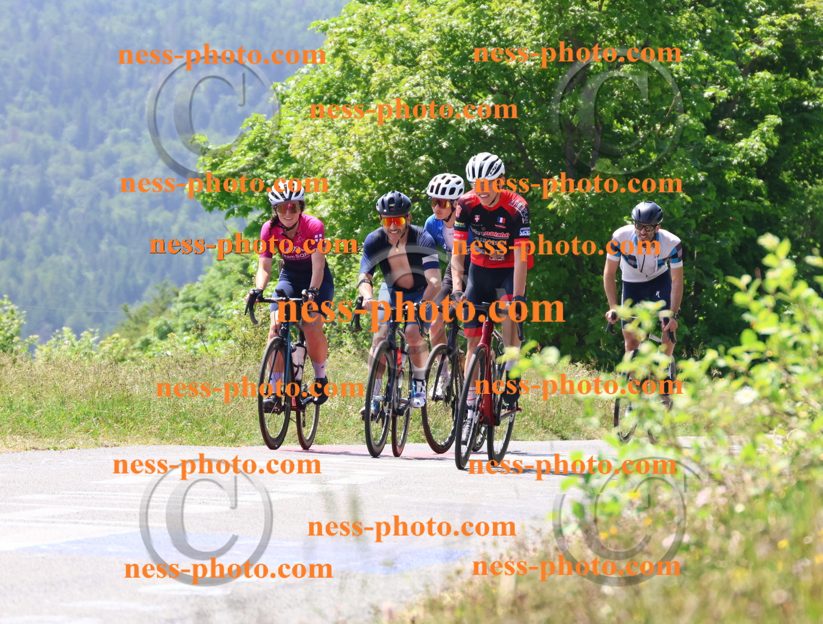 Col du grand Colombier (2416).JPG