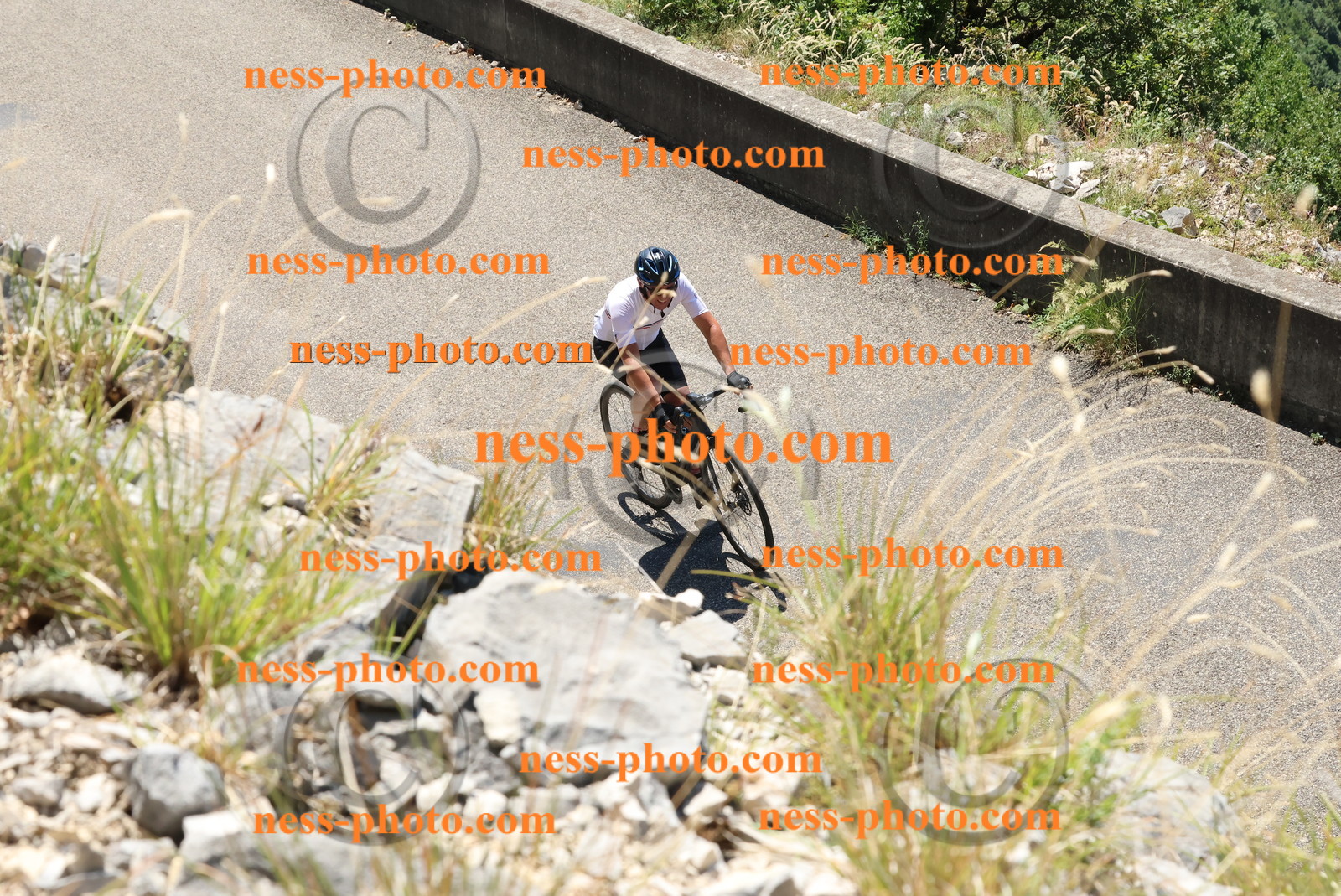 Col du Grand Colombier (547).JPG