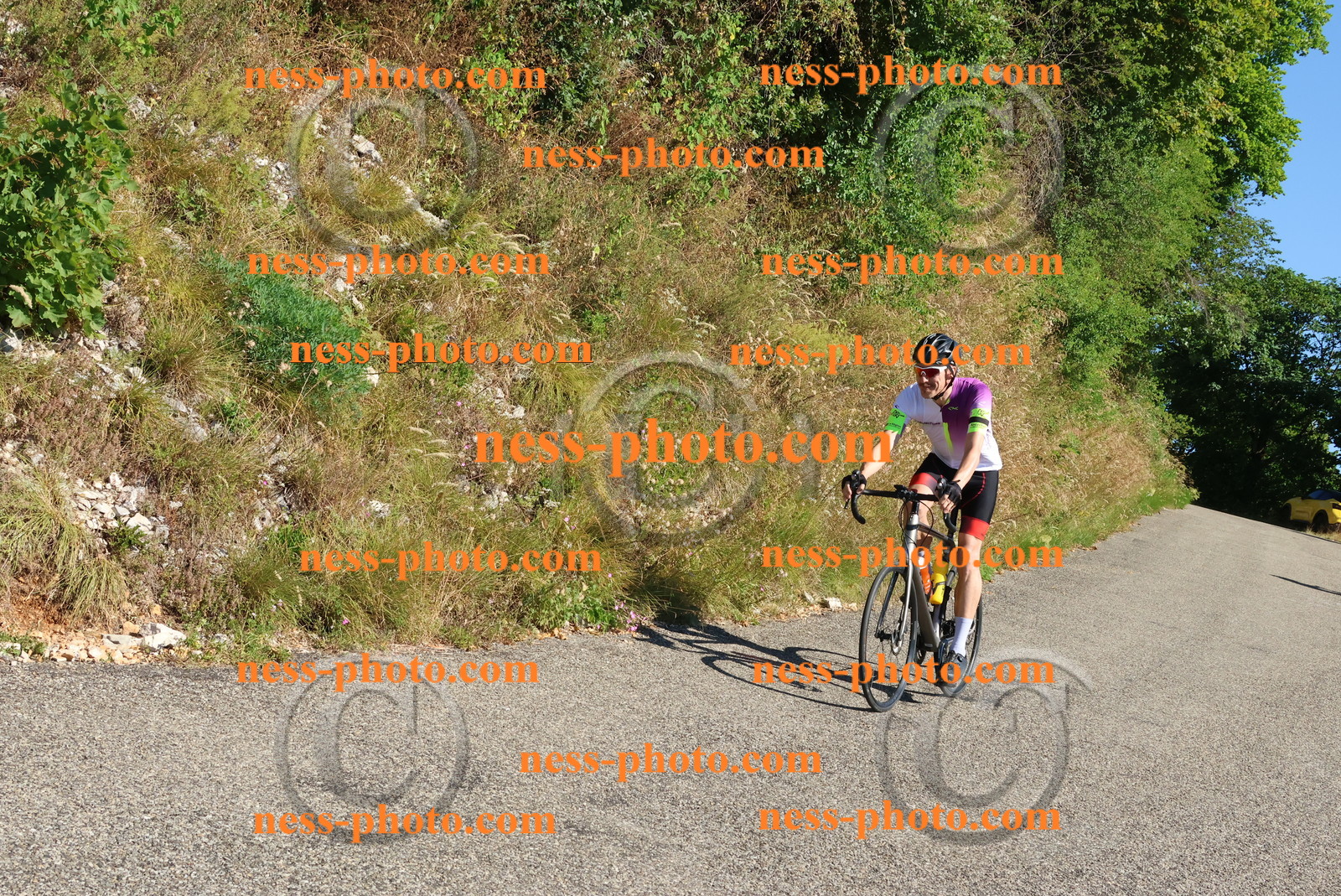 Col du Grand Colombier (159).JPG