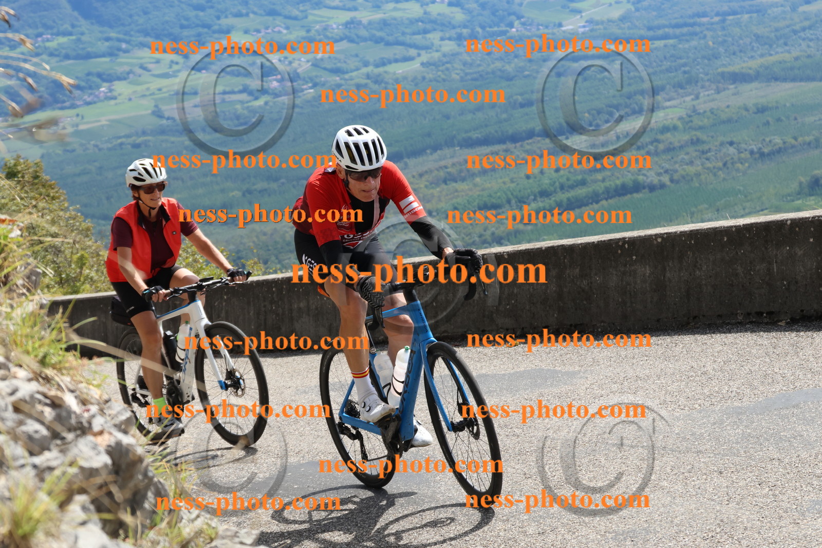 Col du Grand Colombier (611).JPG