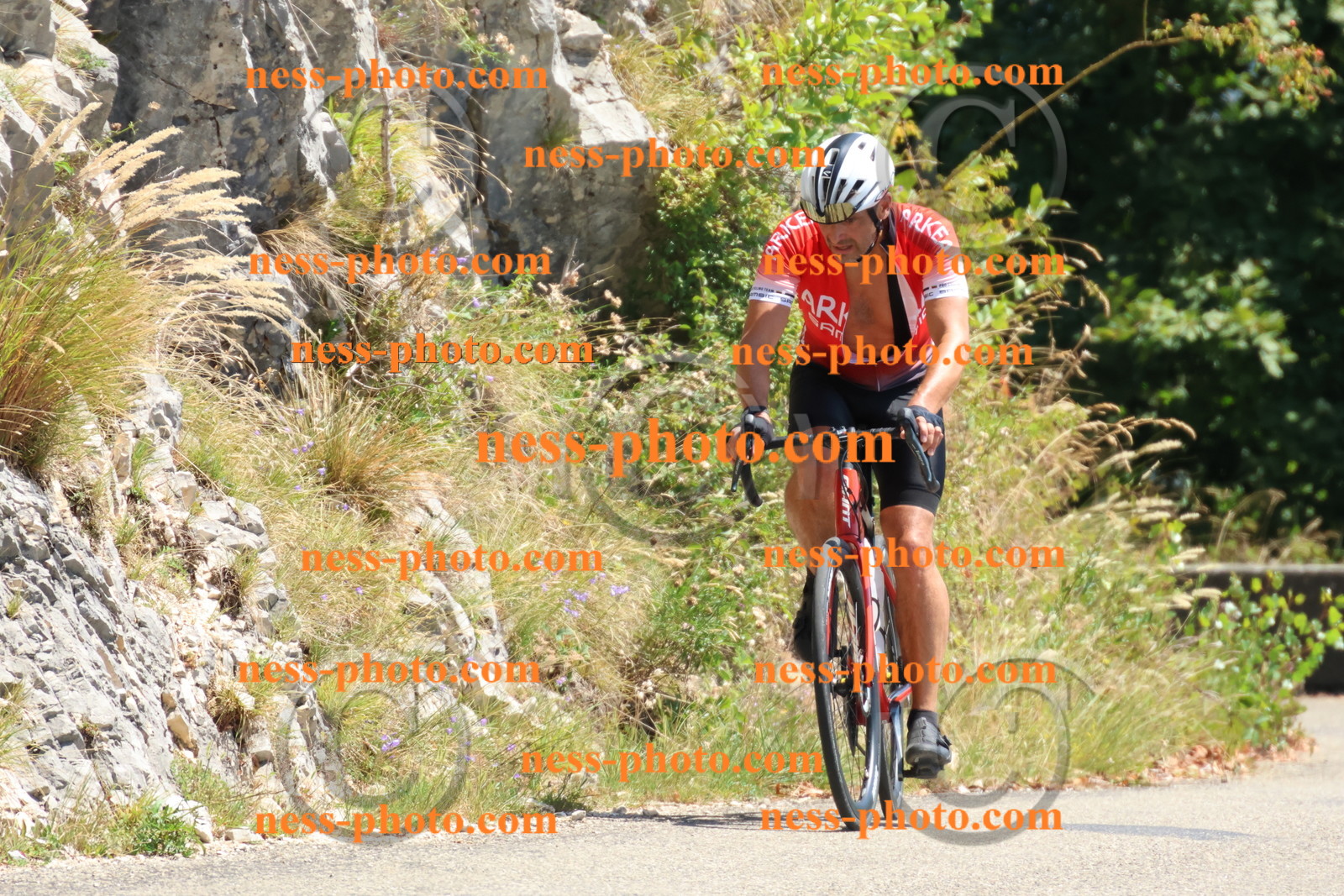 Col du Grand Colombier (456).JPG