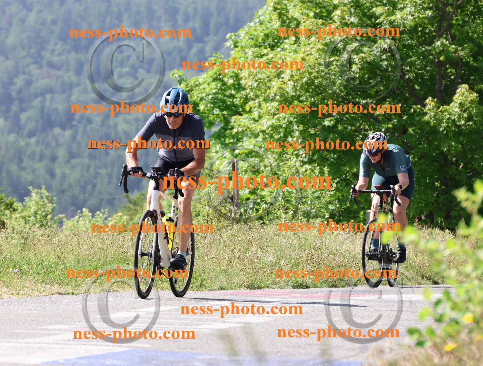 Col du grand Colombier (824).JPG