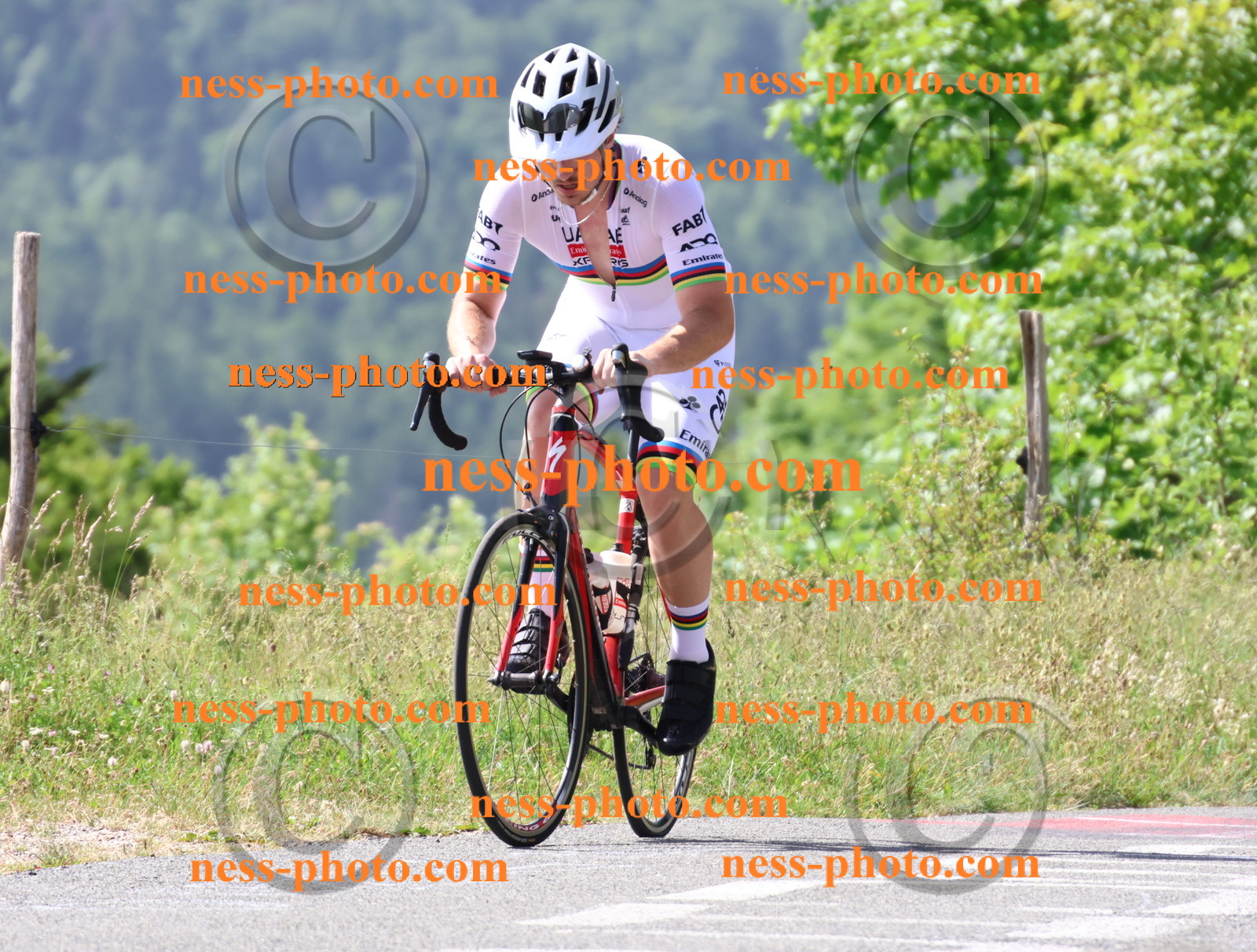 Col du grand Colombier (893).JPG