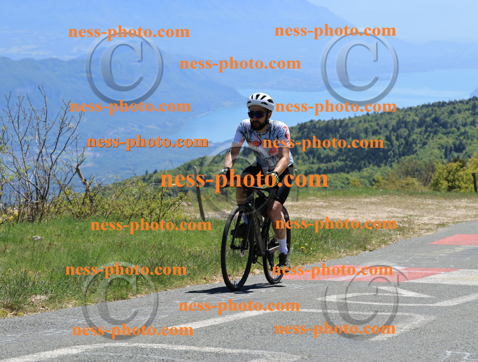 Col du Grand Colombier (420).JPG