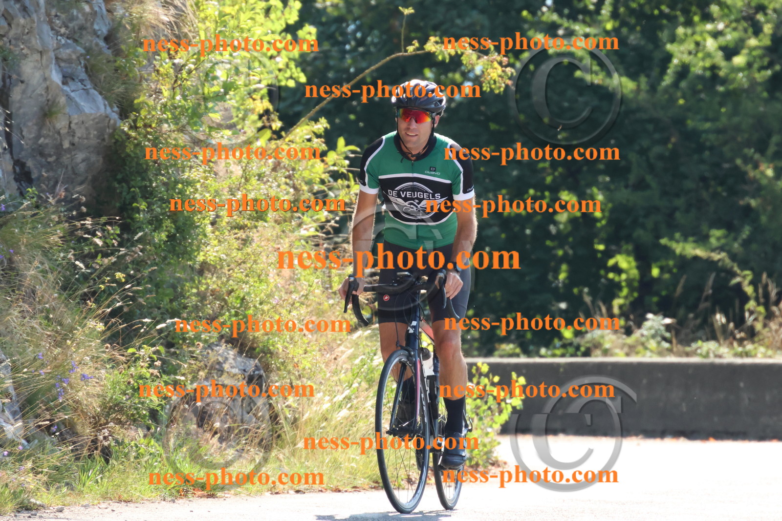 Col du Grand Colombier (64).JPG