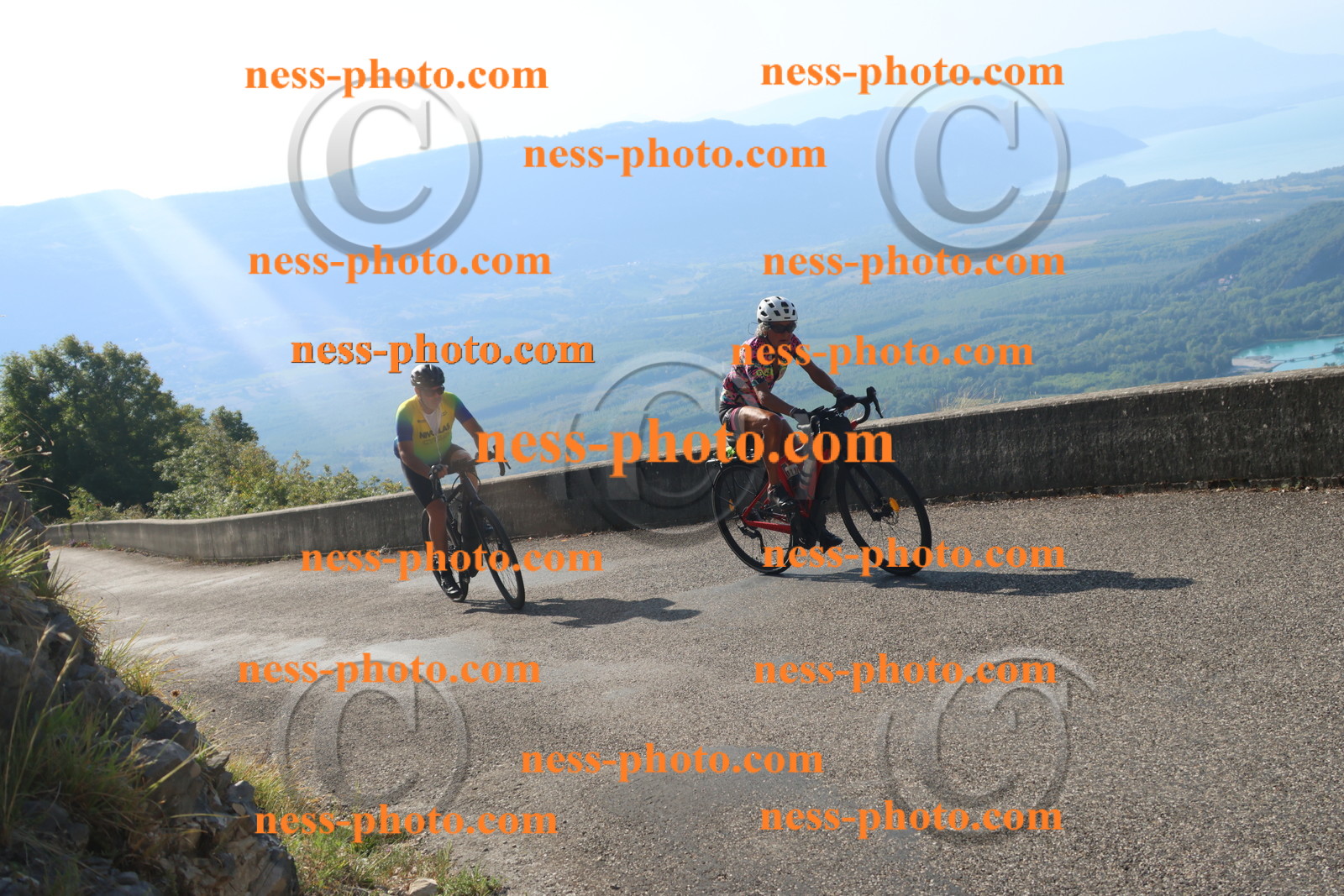 Col du Grand Colombier (1395).JPG