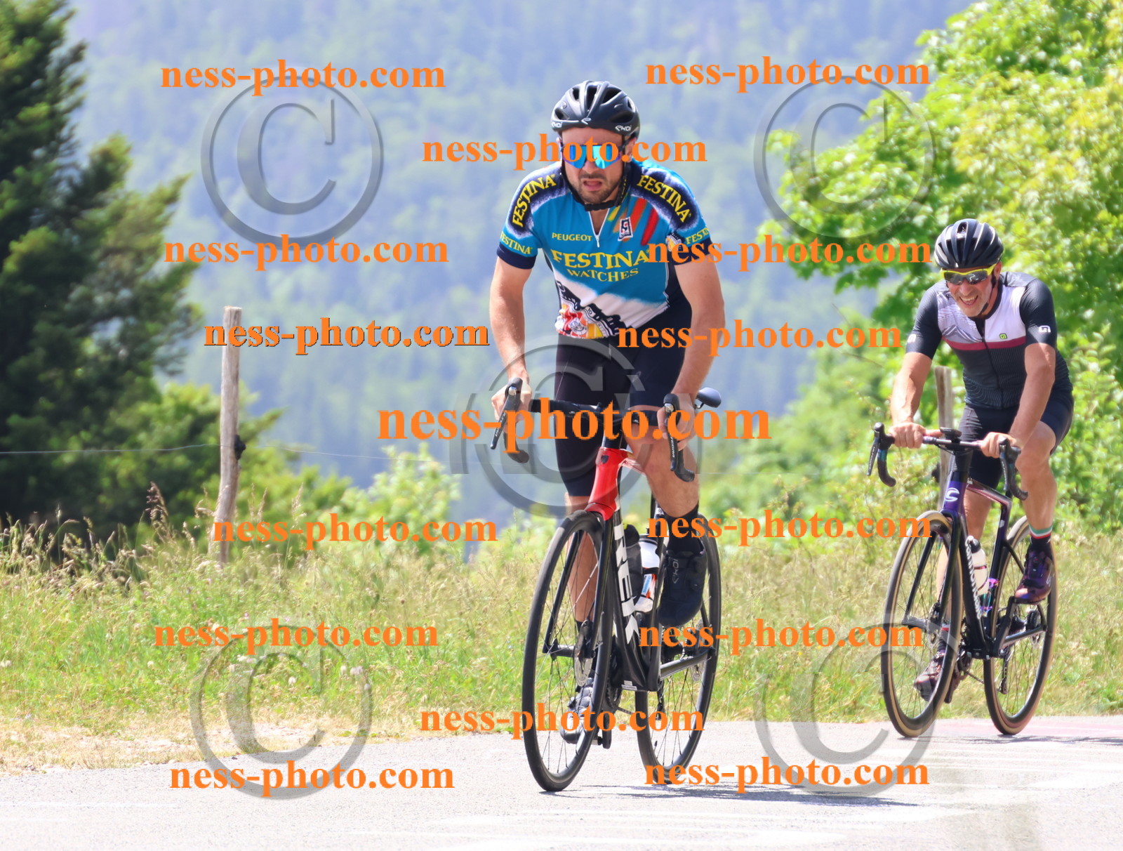 Col du grand Colombier (2312).JPG