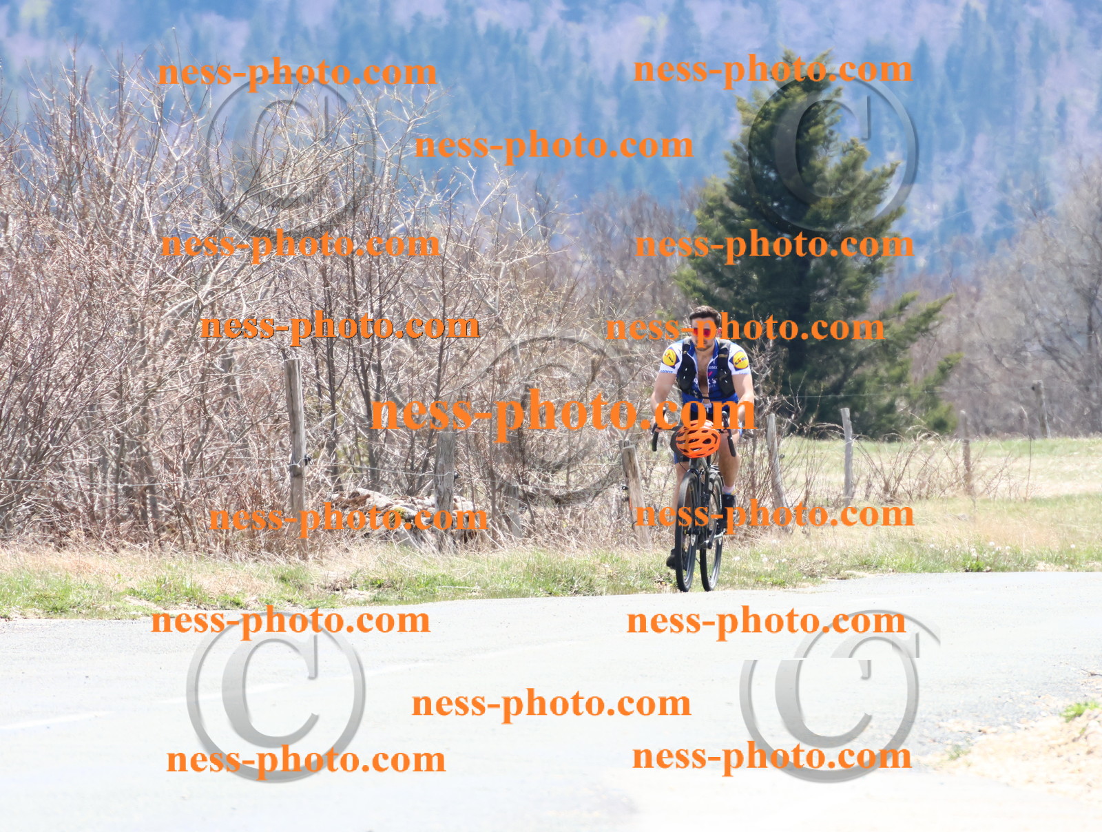 Col du Grand Colombier (349).JPG