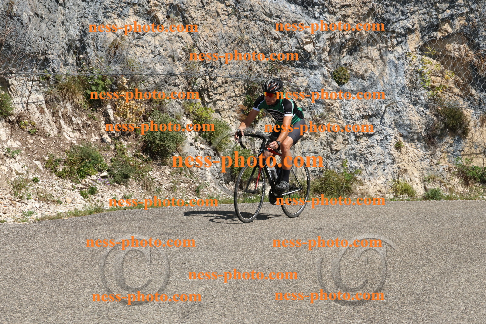 Col du Grand Colombier (338).JPG