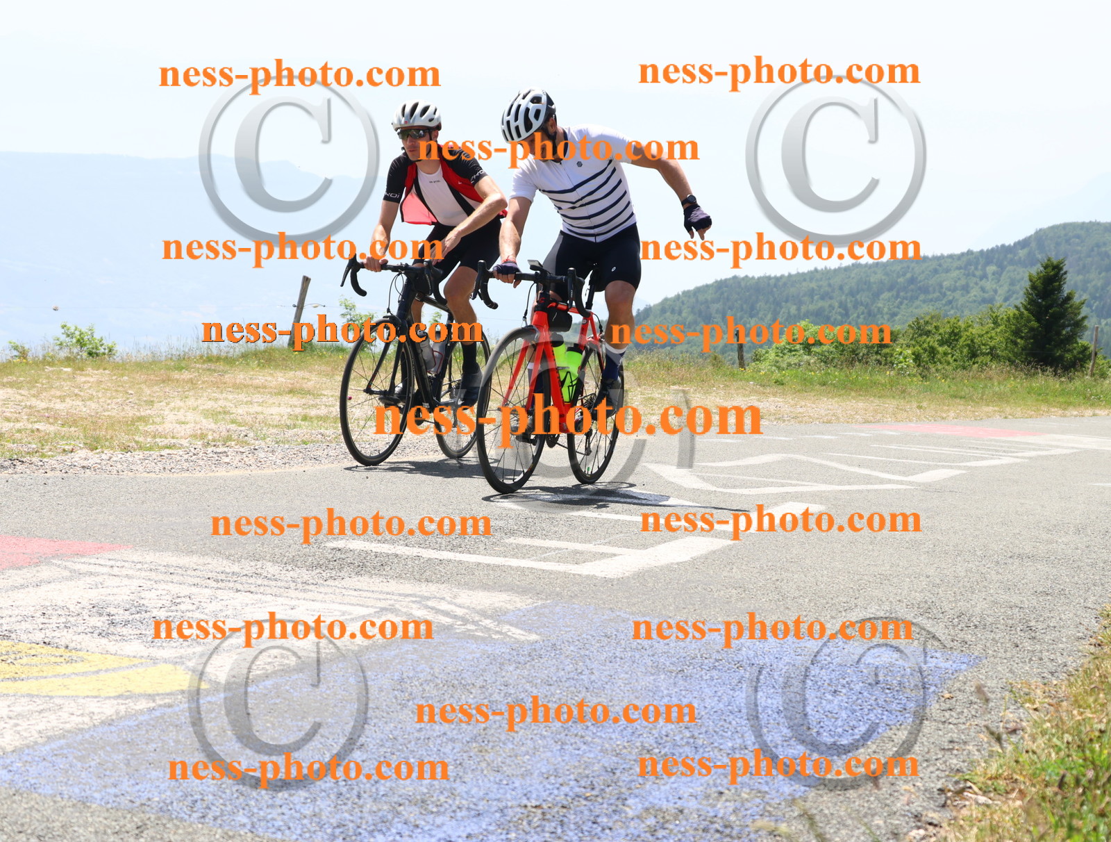 Col du grand Colombier (2599).JPG