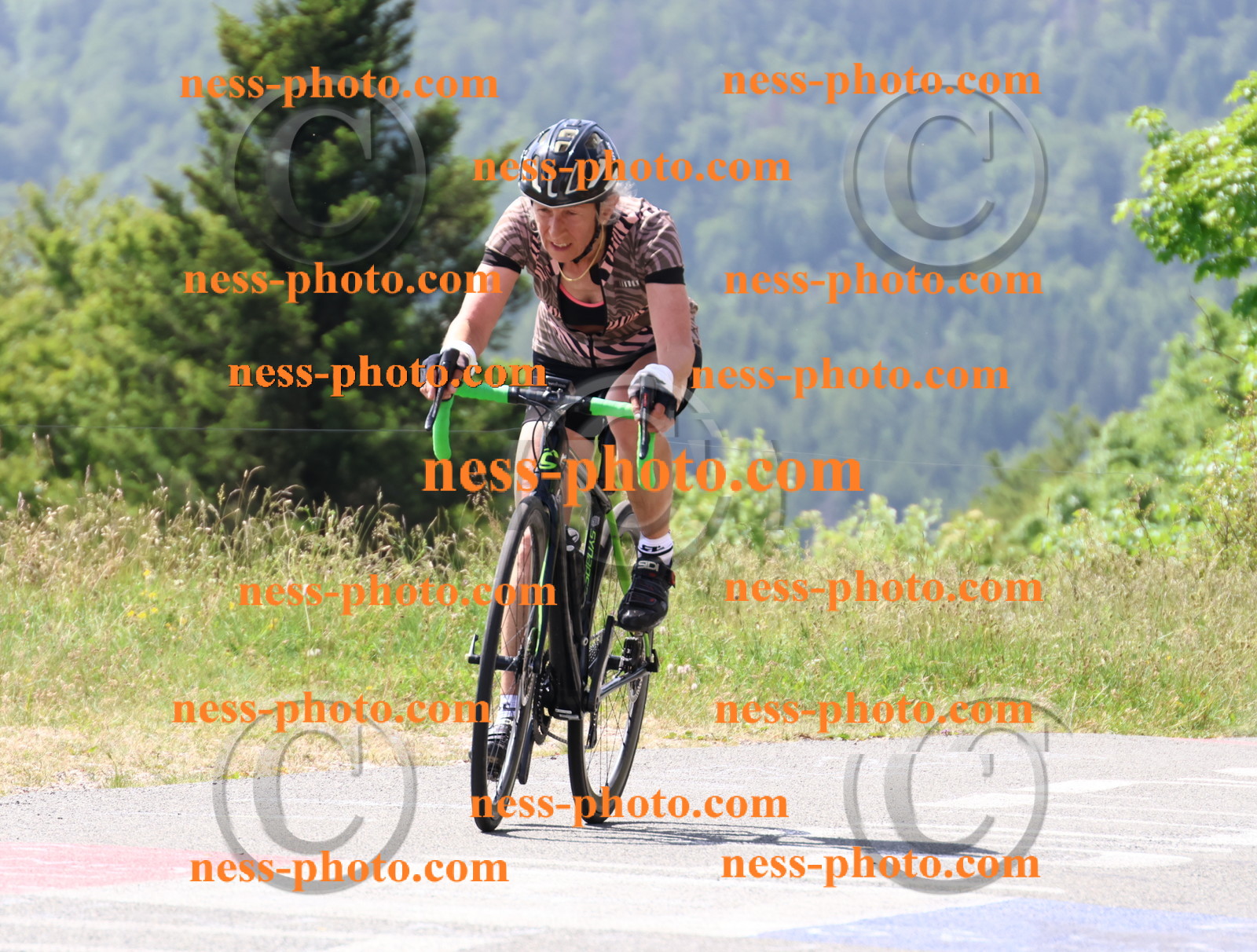 Col du grand Colombier (1633).JPG