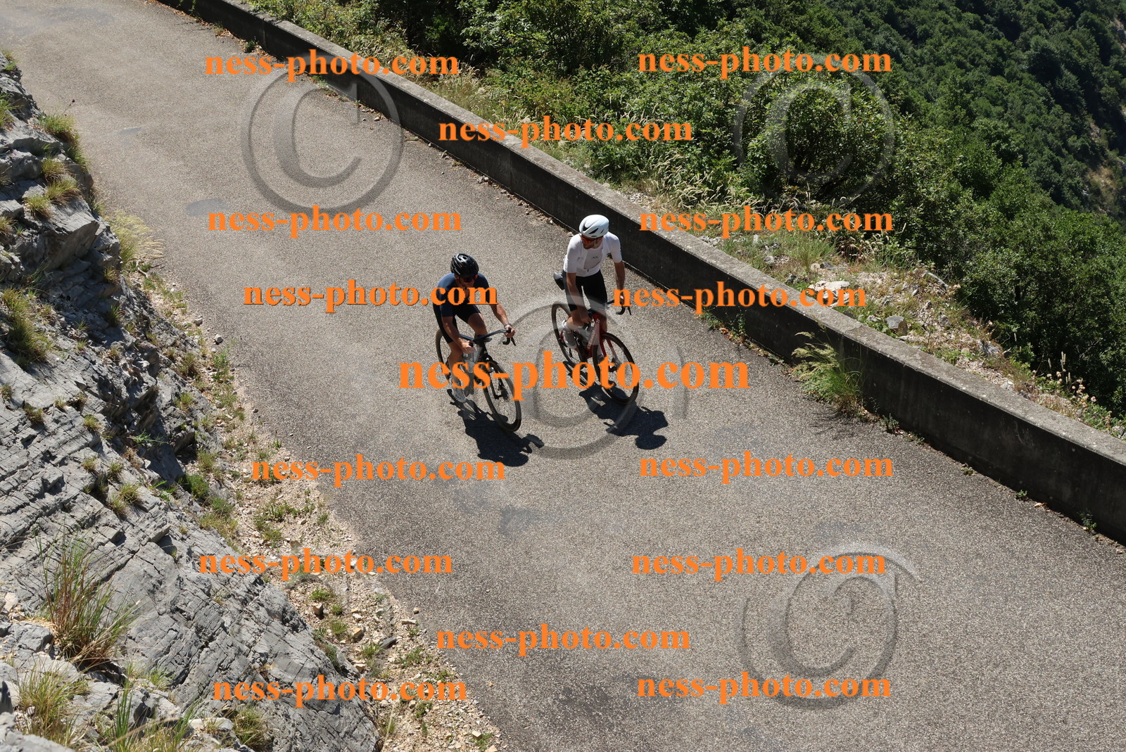 Col du Grand Colombier (363).JPG