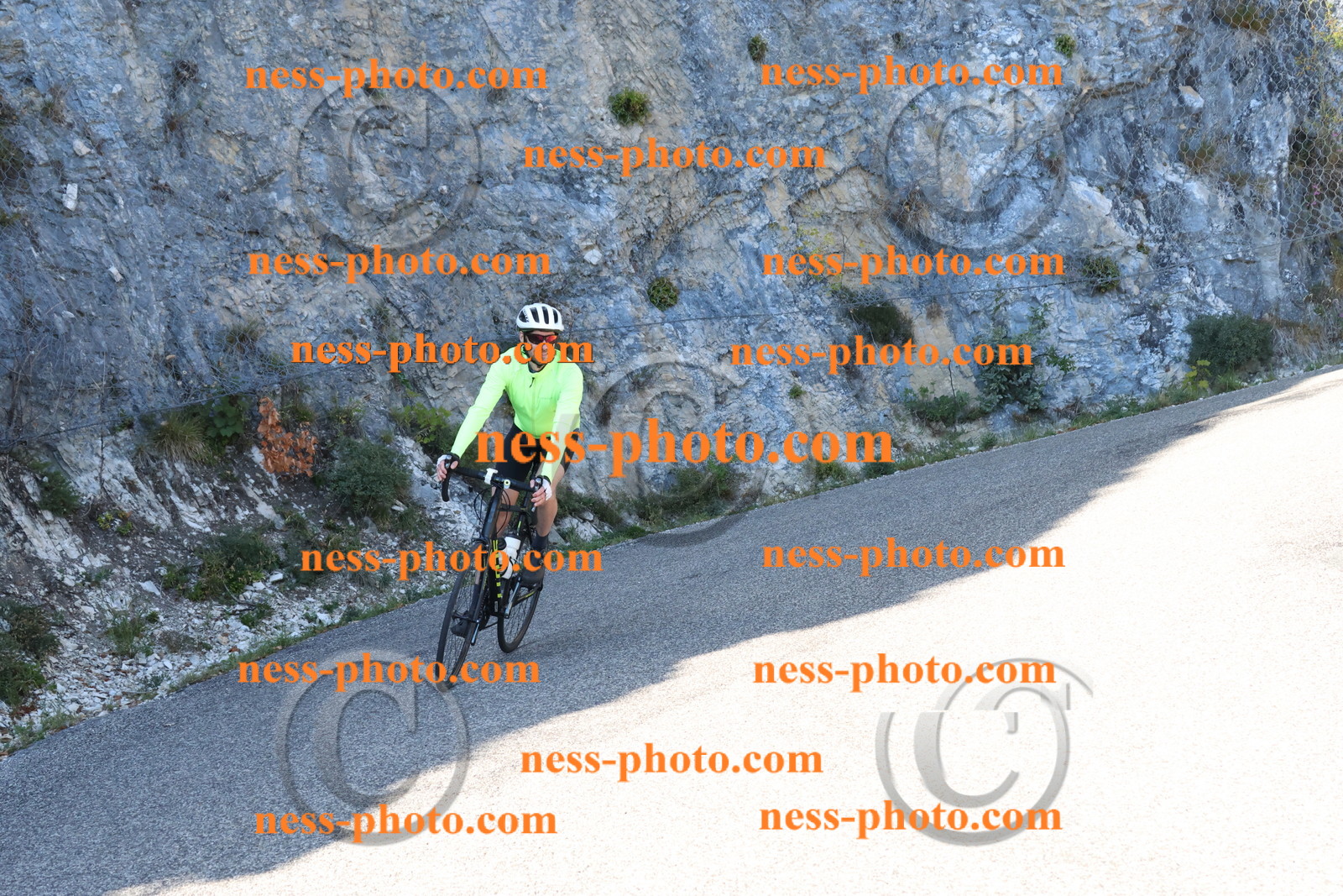 Col du Grand Colombier (537).JPG