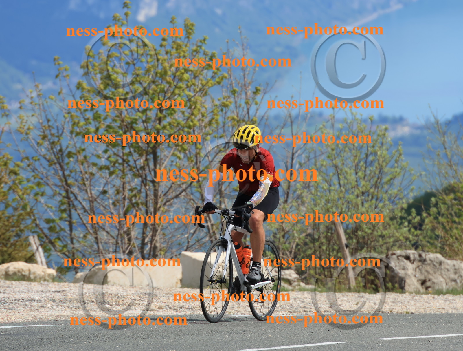 Col du grand Colombier (717).JPG