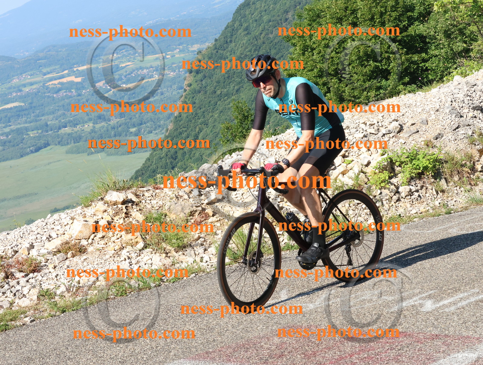 Col du Grand Colombier (67).JPG