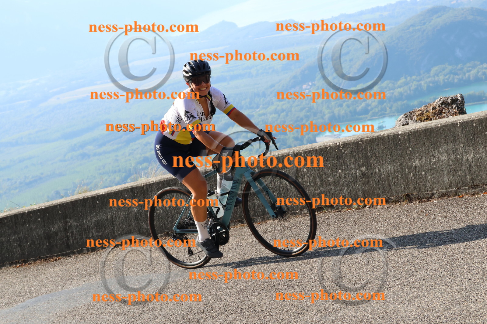 Col du Grand Colombier (985).JPG