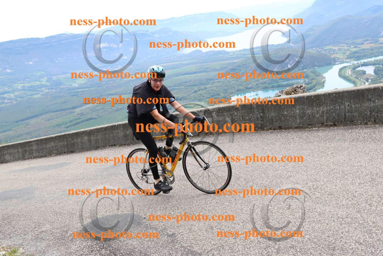 Col du Grand Colombier (2665).JPG