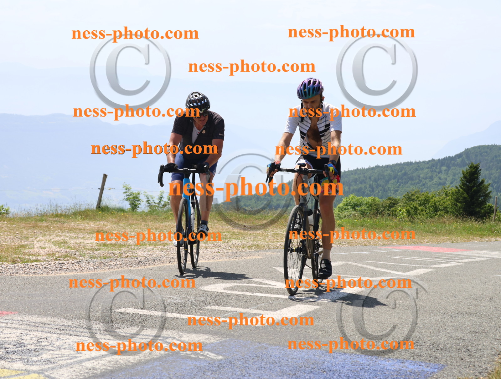 Col du grand Colombier (2346).JPG