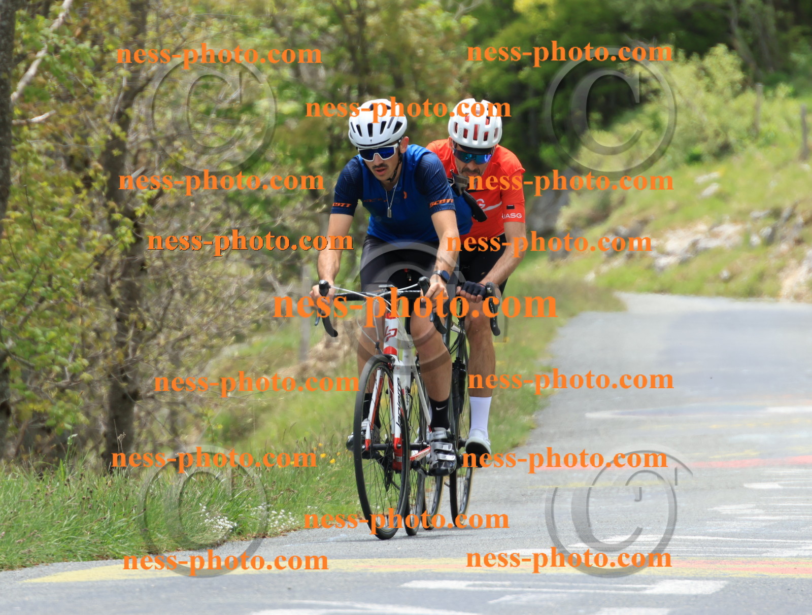 Col du Grand Colombier (477).JPG