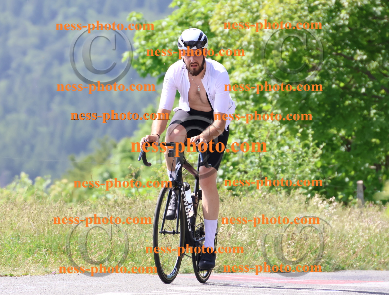 Col du grand Colombier (1072).JPG