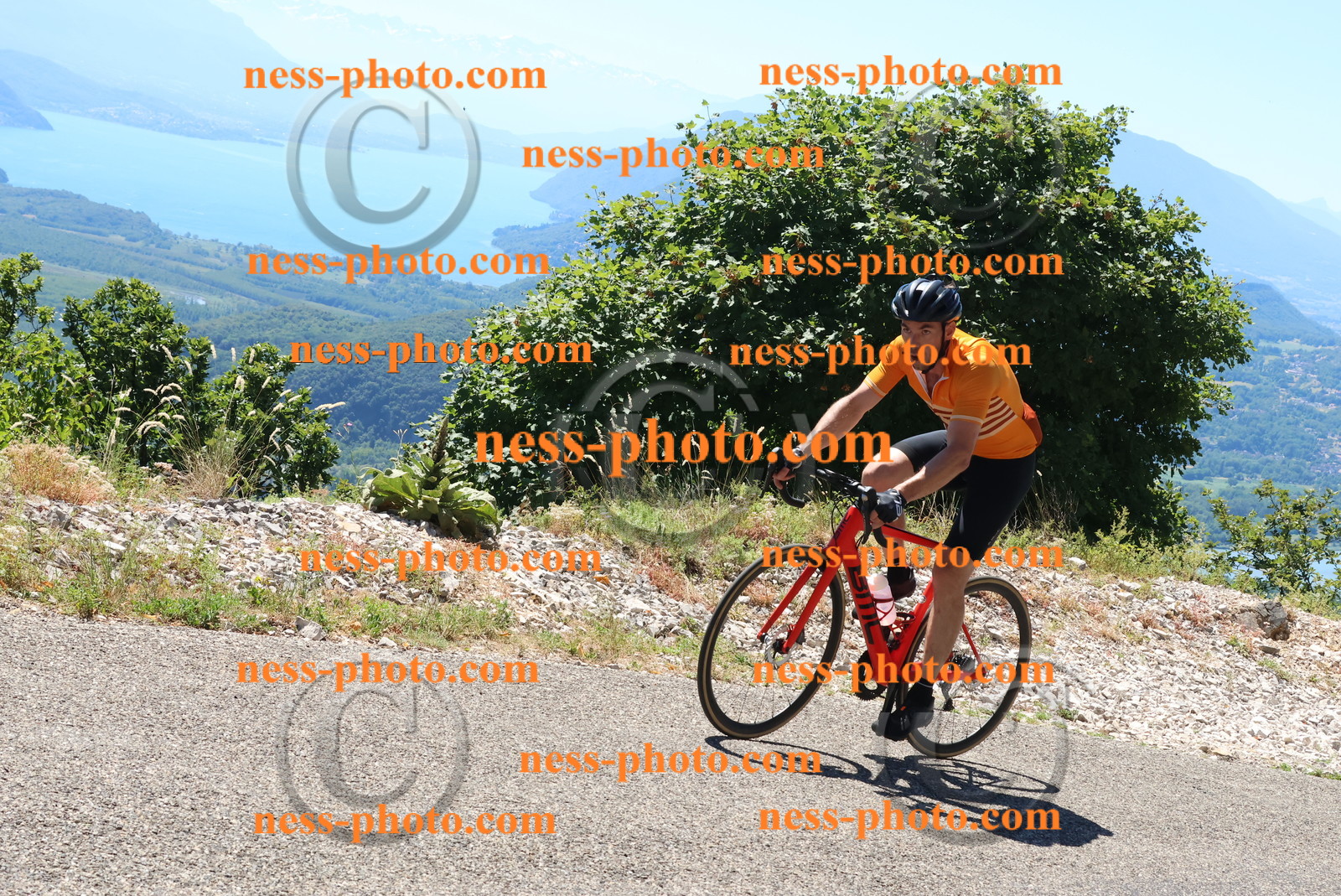 Col du Grand Colombier (580).JPG